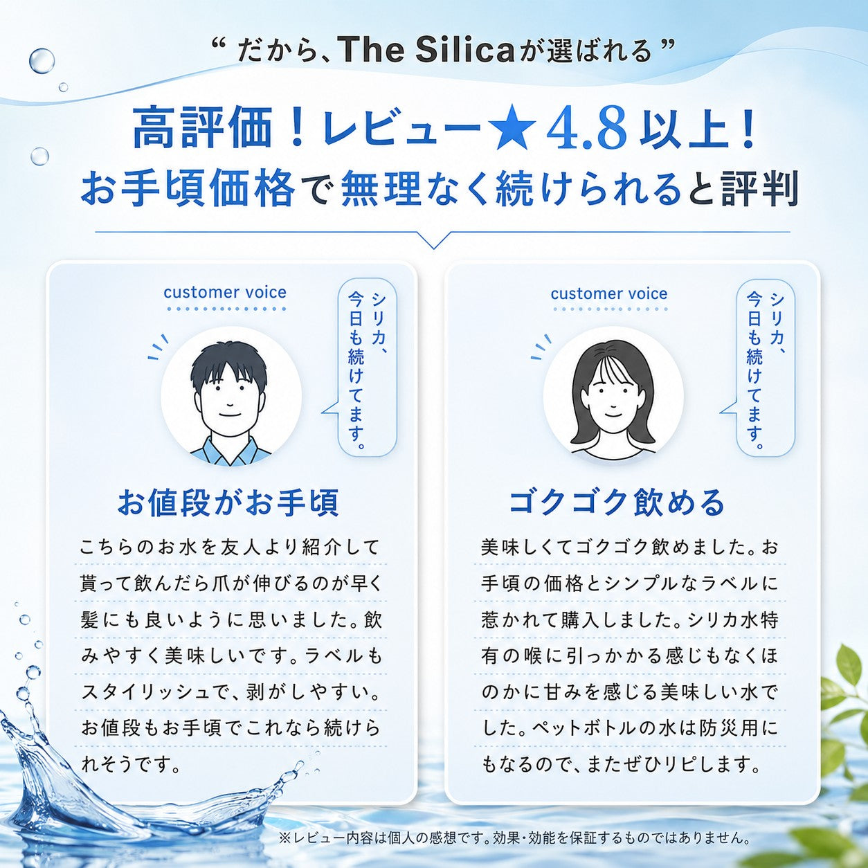 国産 天然水 The Silica ミネラルウォーター シリカ天然水 500ml 24本 2箱(計48本)国産 ケイ素水 ザシリカ