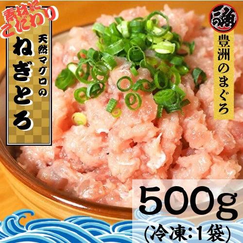 【5人限定送料込み1000円！】訳あり まぐろ 切り落とし用 ５００ｇ お刺身 ブツ お祝い  マグロ