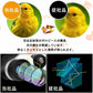 双眼鏡 コンサート 高倍率 10×25 BAK4プリズム10倍 めがね対応 超軽量 折り畳み 暗くならない 小型 目幅調整 双眼望遠鏡 日本語説明書付き w639A(ブラック)