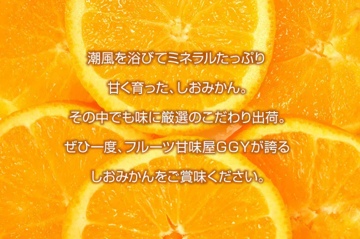 しおみかん  5kg みかん 熊本産 訳あり ご家庭用 80サイズ