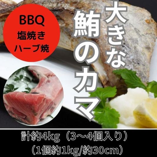 ★マグロのカマ 約4kg（4～6個）豊洲加工