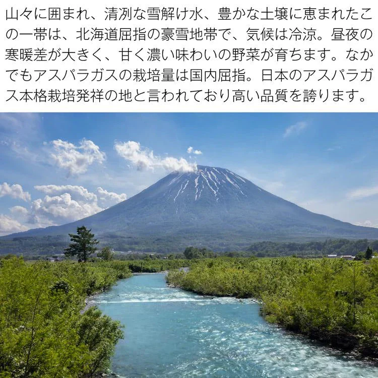ホワイトアスパラガス 北海道 朝採れ 1kg 食べ比べ ホワイトアスパラ 500g グリーンアスパラ 500g 羊蹄山 産地直送 冷蔵便 同梱不可 指定日不可 産直