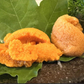 ★生うに 10人前 ミョウバン不使用/完全無添加　500g（100g×5パック）