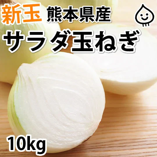 玉ねぎ サラダ玉ねぎ 10kg 送料無料 新玉 S～L 熊本県産 玉葱 たまねぎ 野菜