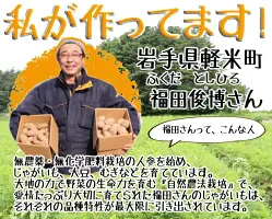 岩手県産 じゃがいも 5kg 無農薬栽培 きたあかり