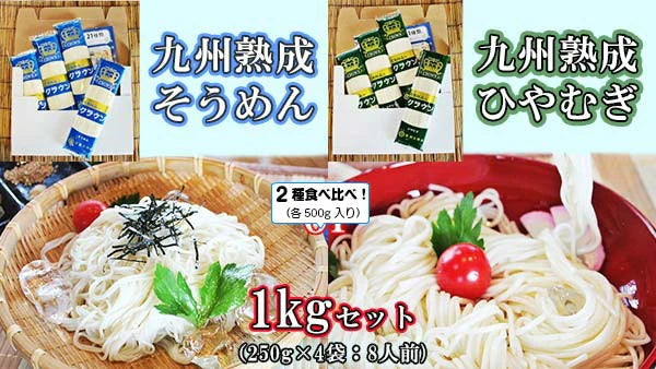 そうめん　ひやむぎ　冷麦　素麺　お取り寄せ　九州熟成そうめん250g×2袋　&　九州熟成ひやむぎ250g×2袋　たっぷり1キロ　お試しグルメギフト
