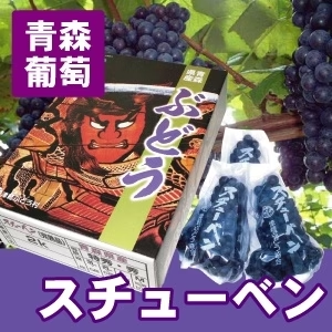 送料無料 完熟冬ぶどう スチューベン 特秀2L＆Lサイズ混合 約2kg(約6～9房入)