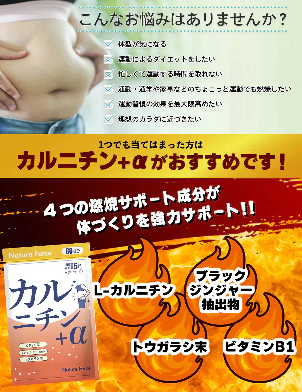 【訳あり 使用期限2025年9月】薬剤師監修 カルニチン＋α 60日分 1袋 L-カルニチン45,000mg配合 ブラックジンジャー カプサイシン ビタミンB1 ネイチャーフォース Nature Force