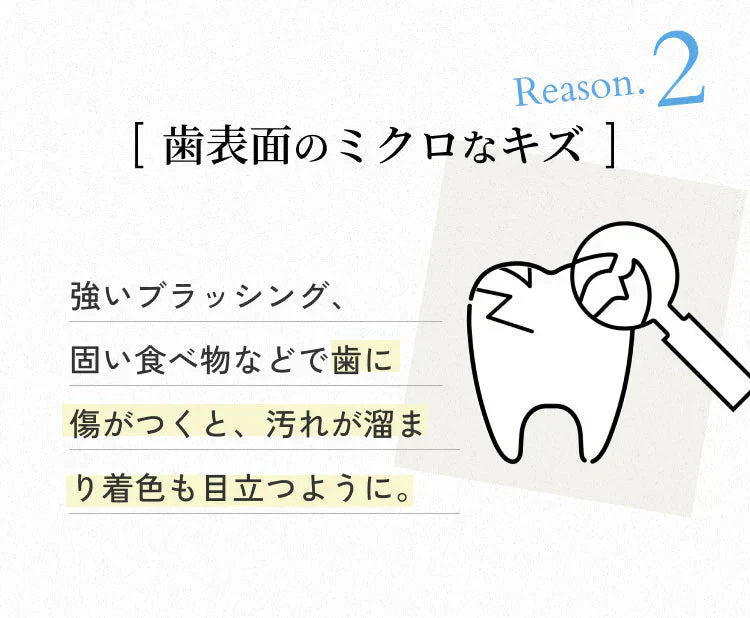 【単品】パールホワイト ホワイトニング 歯を白くする 歯ブラシ 薄型ヘッド 毛の硬さ：ふつう 日本製 自宅 ホームホワイトニング プレミアム 歯ブラシ