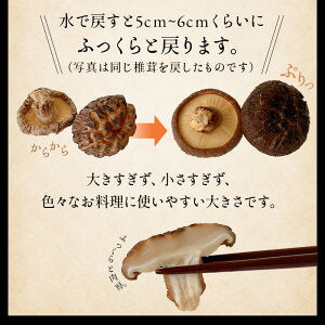 原木しいたけ 椎茸 肉厚 完全無農薬栽培 新潟県 佐渡産 60g