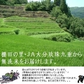 無洗米 8kg 大分産玖珠の自然乾燥米　九州産 米 無洗米 送料無料　4kg×2個セット