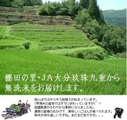 無洗米 8kg 大分産玖珠の自然乾燥米　九州産 米 無洗米 送料無料　4kg×2個セット