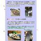 訳あり 千葉県産落花生の不揃いバタピー260g たっぷり大盛