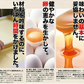 訳あり本場長崎カステラの端っこ２５０ｇ