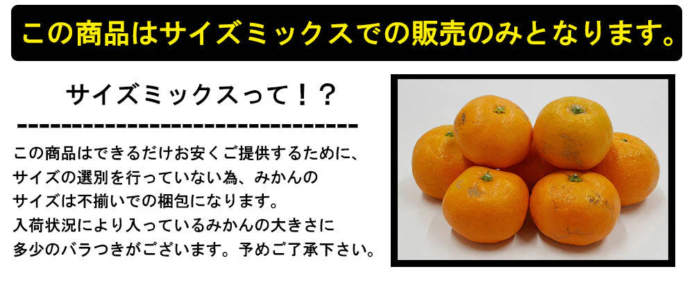 【最安値挑戦祭】みかん 訳あり 送料無料 5kg B品 愛媛 みかん 温州みかん ミカン 蜜柑 安い 甘い 箱買い 産地直送 愛媛県産 YDF-001