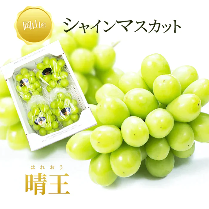 シャインマスカット〈晴王〉訳あり 岡山産 2kg (3-4,5房) 送料無料
