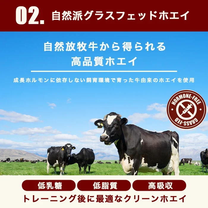 グラスフェッド ホエイプロテイン WPI 3kg リッチチョコレート (OgarMade) オーガーメイド