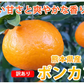 ポンカン 5kg 訳あり 送料無料 箱込 (内容量4kg+不良果補償分500g) 無選別 みかん 熊本県産 デコポン 蜜柑