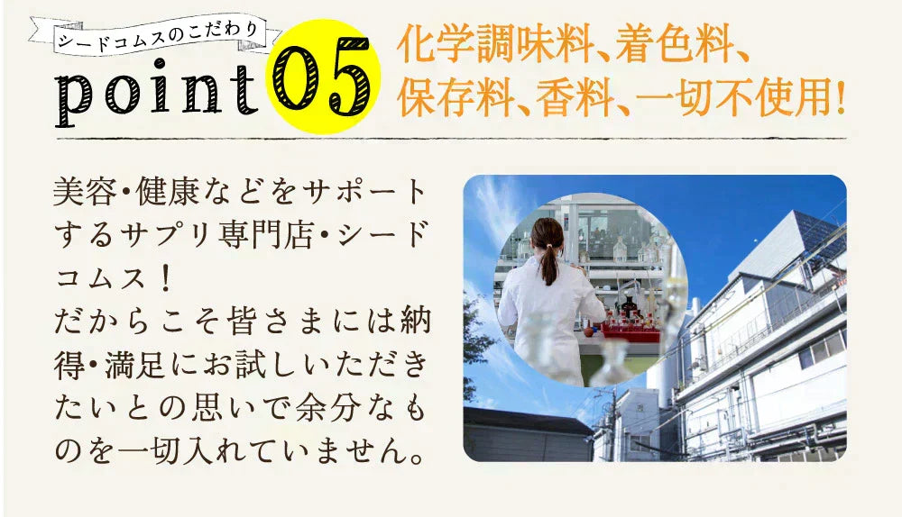 しょうが美人 ペースト 《1箱31包入り》 長崎県産しょうが使用 化学調味料　着色料保存料香料全て一切不使用　かぼす 黒糖 生姜 冷え ジンジャー シロップ エール ドリンク ダイエット ゼリー
