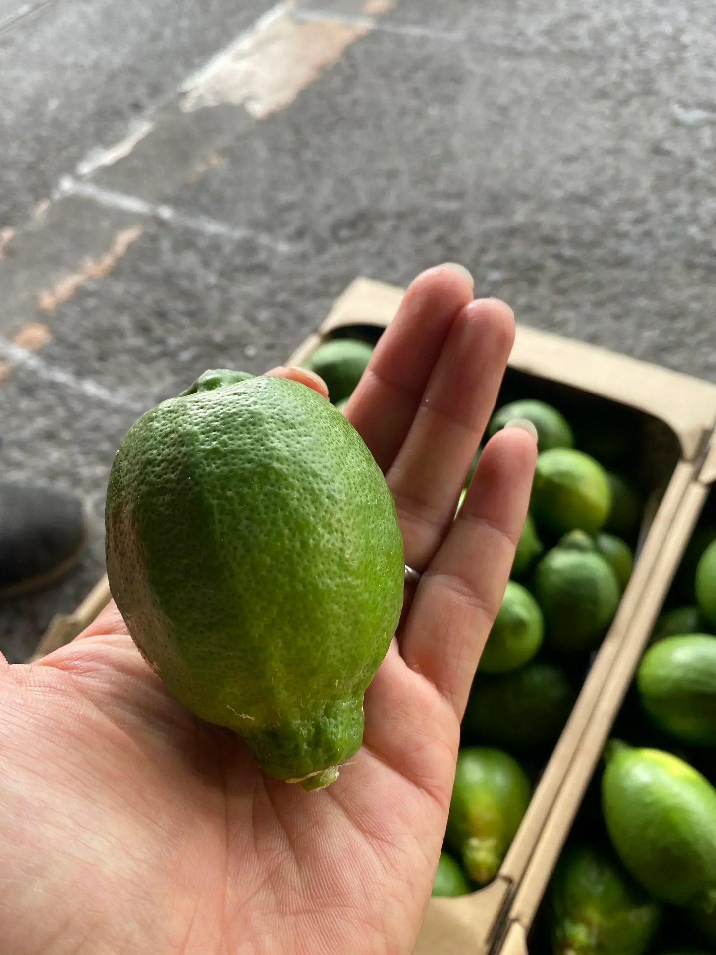 予約販売【防腐剤・防かび剤不使用・皮まで使える】国産グリーンレモン　愛媛県産　2kg 16～20球前後