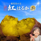 限定価格！焼き芋屋さんが送る 本場の鹿児島県産 紅はるか2kg