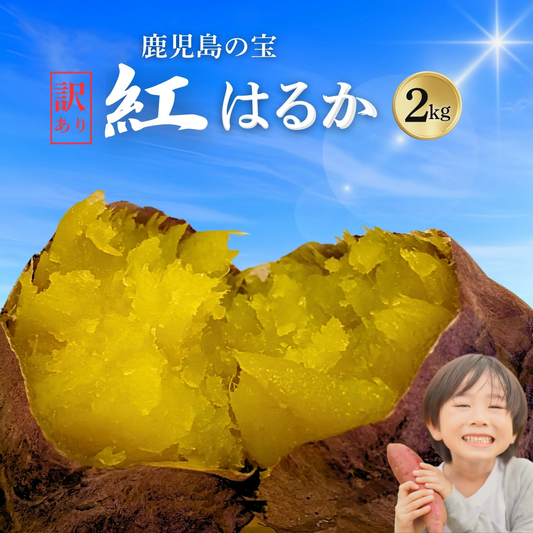 限定価格！焼き芋屋さんが送る 本場の鹿児島県産 紅はるか2kg