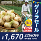 【ゲリラセール】淡路島新たまねぎかくし玉【訳あり】5kg ＃かくし玉訳あり5Ｋ＃たまねぎ 淡路島 玉ねぎ 玉葱 新玉ねぎ