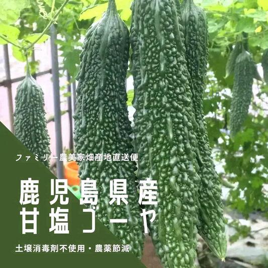 【農家直送！】鹿児島産 -甘塩ゴーヤ-（3kg,12本前後）採れたて新鮮！ / 野菜 / 沖縄 / チャンプル / 佃煮 / 天ぷら / にがうり / 苦瓜 / 煮物 / サラダ / 新鮮 / 農産物 / 無農薬 / 送料無料【特産品・ご当地特集】