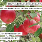アップルファイバー 紅玉 100g 国産 青森県産 りんご 紅玉 粉末 食物繊維 コレステロール 紅茶 ヨーグルト お菓子【6301】