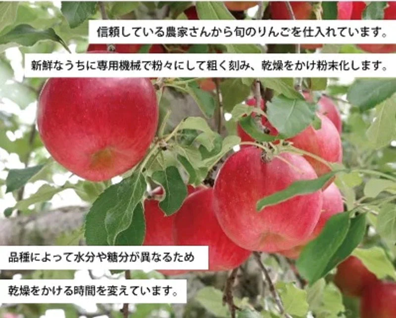 アップルファイバー 紅玉 100g 国産 青森県産 りんご 紅玉 粉末 食物繊維 コレステロール 紅茶 ヨーグルト お菓子【6301】