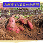 【3月下旬以降の発送予定】 干し芋 国産 無添加 85g×2袋 紅はるか 送料無料 メール便限定 干しいも【プチプラ特集】