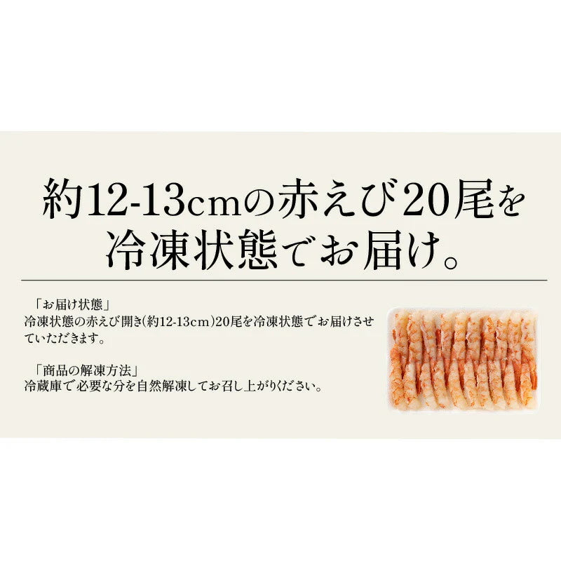 赤えび 開き 20尾（約12〜13cm） アルゼンチン 赤エビ 赤海老 美味しい 海老 えび エビ 天然 冷凍エビ 冷凍海老 セット 大量 まとめ買い 魚介類 海鮮 贈り物 ［送料無料］プレゼント ギフト