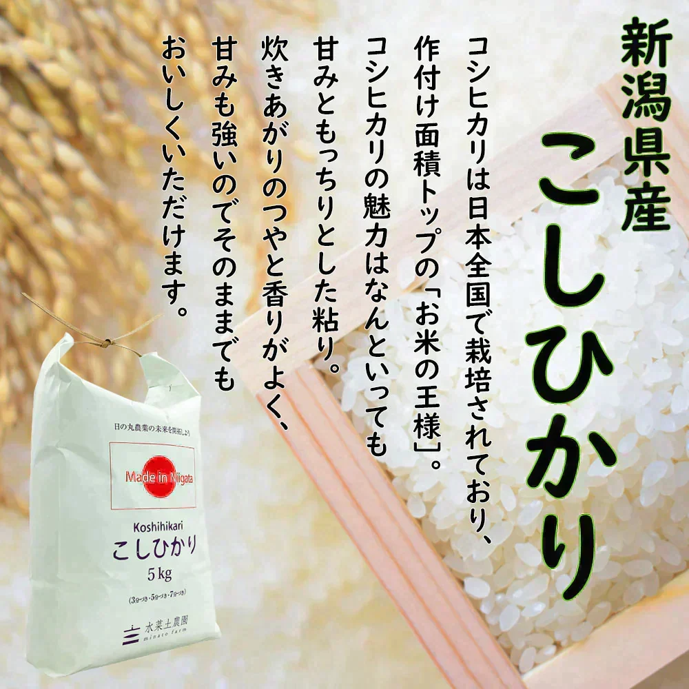 新潟県産 こしひかり 精米20kg（5kg×4袋） 令和7年産 【古代米プレゼント付き】