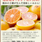 産地直送 熊本県産 みかん 訳あり 送料無料 熊本ミカン 大玉 小玉 不選別 規格外 果物 柑橘 九州 訳アリ 蜜柑 みかん 3-7営業日以内に発送予定（土日祝除く）