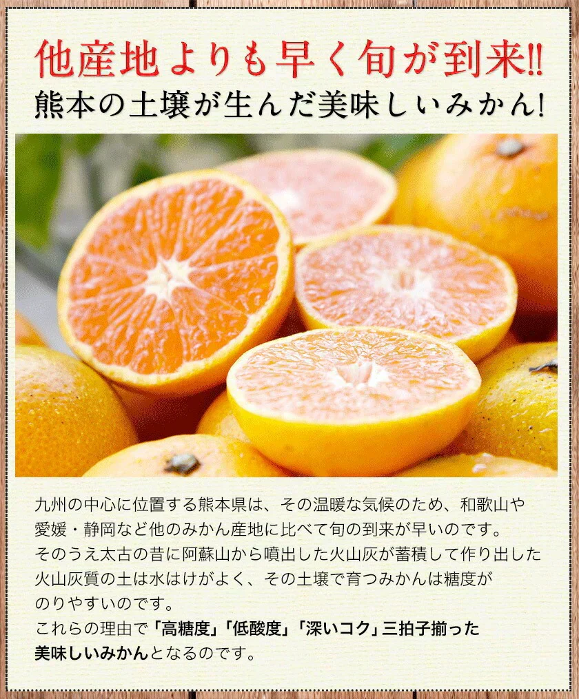 産地直送 熊本県産 みかん 訳あり 送料無料 熊本ミカン 大玉 小玉 不選別 規格外 果物 柑橘 九州 訳アリ 蜜柑 みかん 3-7営業日以内に発送予定（土日祝除く）