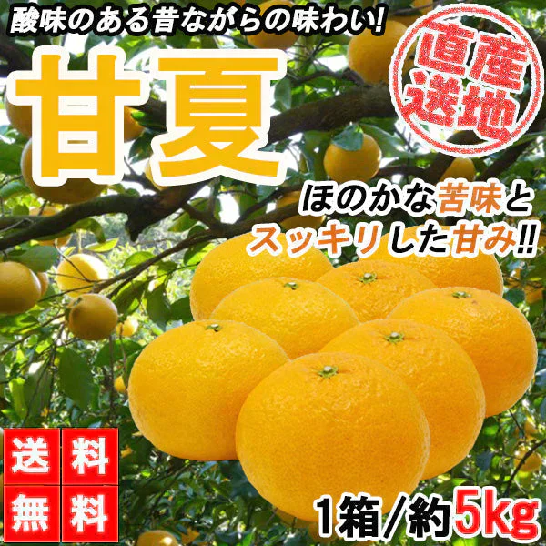 甘夏 5kg みかん 蜜柑 ご家庭用 箱買い サイズミックス あまなつ 柑橘 フルーツ 果物 産地直送 愛媛県産 YDF-013