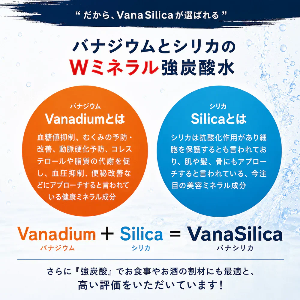 炭酸水 富士山のバナジウム＆シリカ 強炭酸水 VanaSilica（バナシリカ） 500ml 24本×2箱（計48本）プレーン