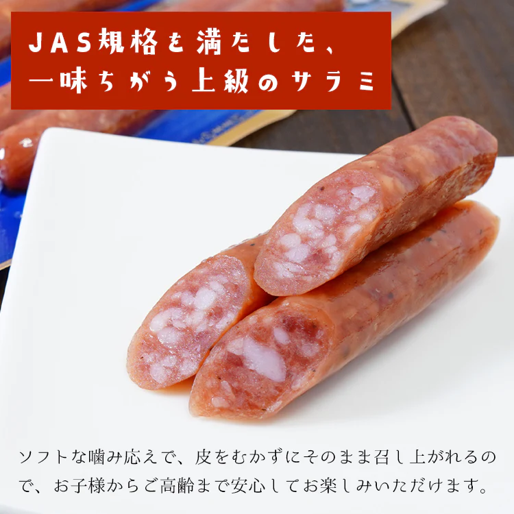 銀河のサラミ お試し 珍味 おつまみ 酒の肴 上級 2本入×5パック