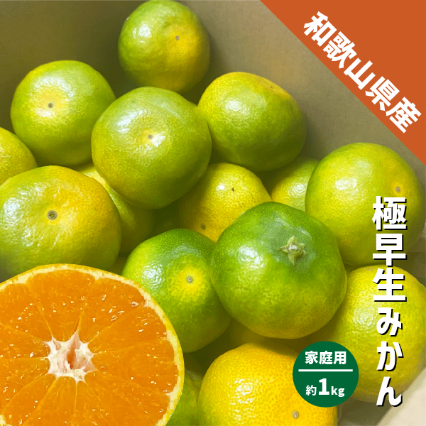 みかん 極早生 和歌山県産 約1kg S〜Lサイズ ご家庭用 紀南 有田 ミカン 極早生みかん ご自宅