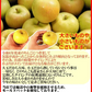 即日発送！青森県産 りんご トキ 10kg箱 家庭用/訳あり ★トキ 家訳 10kg箱