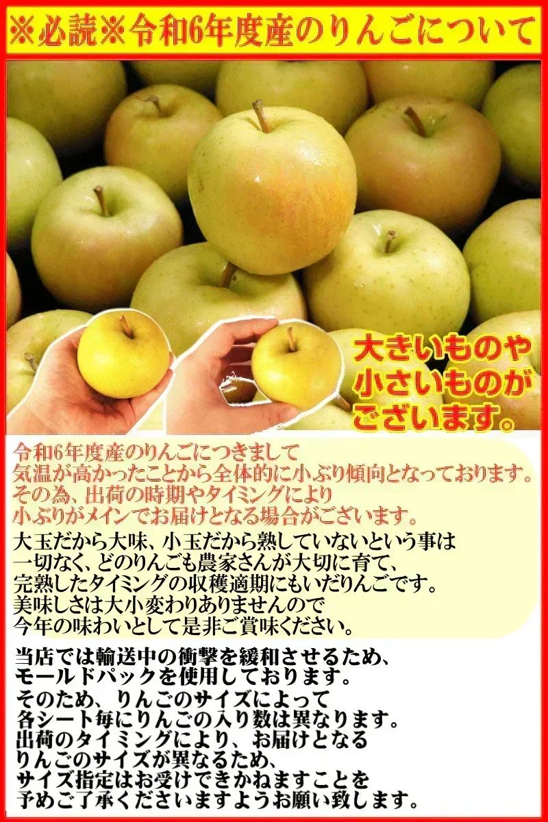 即日発送！青森県産 りんご トキ 10kg箱 家庭用/訳あり ★トキ 家訳 10kg箱