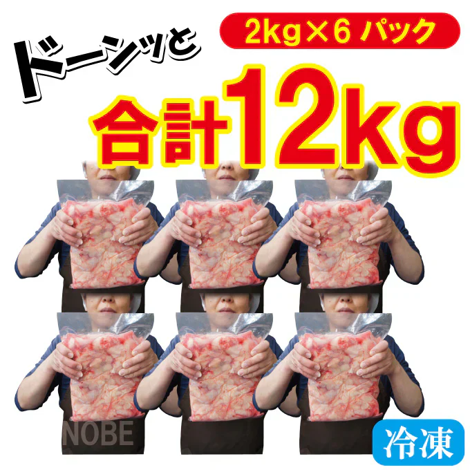 訳あり国産むね肉こま切れ・切れ端12kg(2kg×6袋)