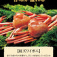 生 紅ズワイガニ カニ足 細身ポーション 500g (30本前後入) 北海道産 ズワイガニ カニ 蟹 かに 生食 刺身 日時指定不可