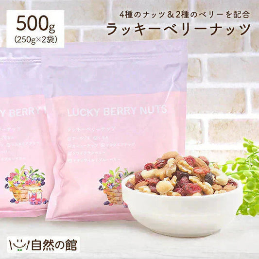 500g 2種のベリー入りミックスナッツ『ラッキーベリーナッツ 』 (250g×2)無塩 ナッツ くるみ カシューナッツ アーモンド クランベリー ワイルドブルーベリー 送料無料