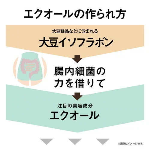 ガセリ菌エクオール 約半年分 90粒×2個セット まとめ買い ガセリ菌 エクオール 大豆イソフラボン アグリコン型 イソフラボン 乳酸菌 善玉菌 腸活 菌活 ゆらぎ世代 女性 40代 50代 美容 健康 サプリ Royal BS 送料無料 業務用 大容量 サプリメント 日本製