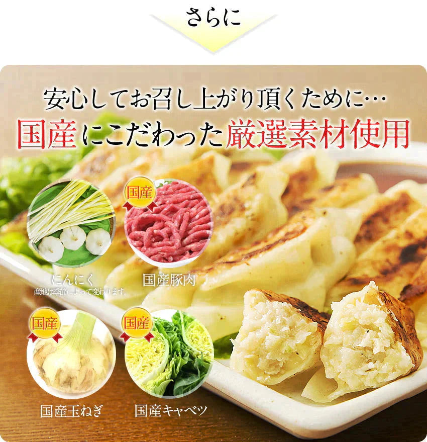 （納期2週間）奇跡の一粒すっぴん餃子100個 絶品タレ不要味付き