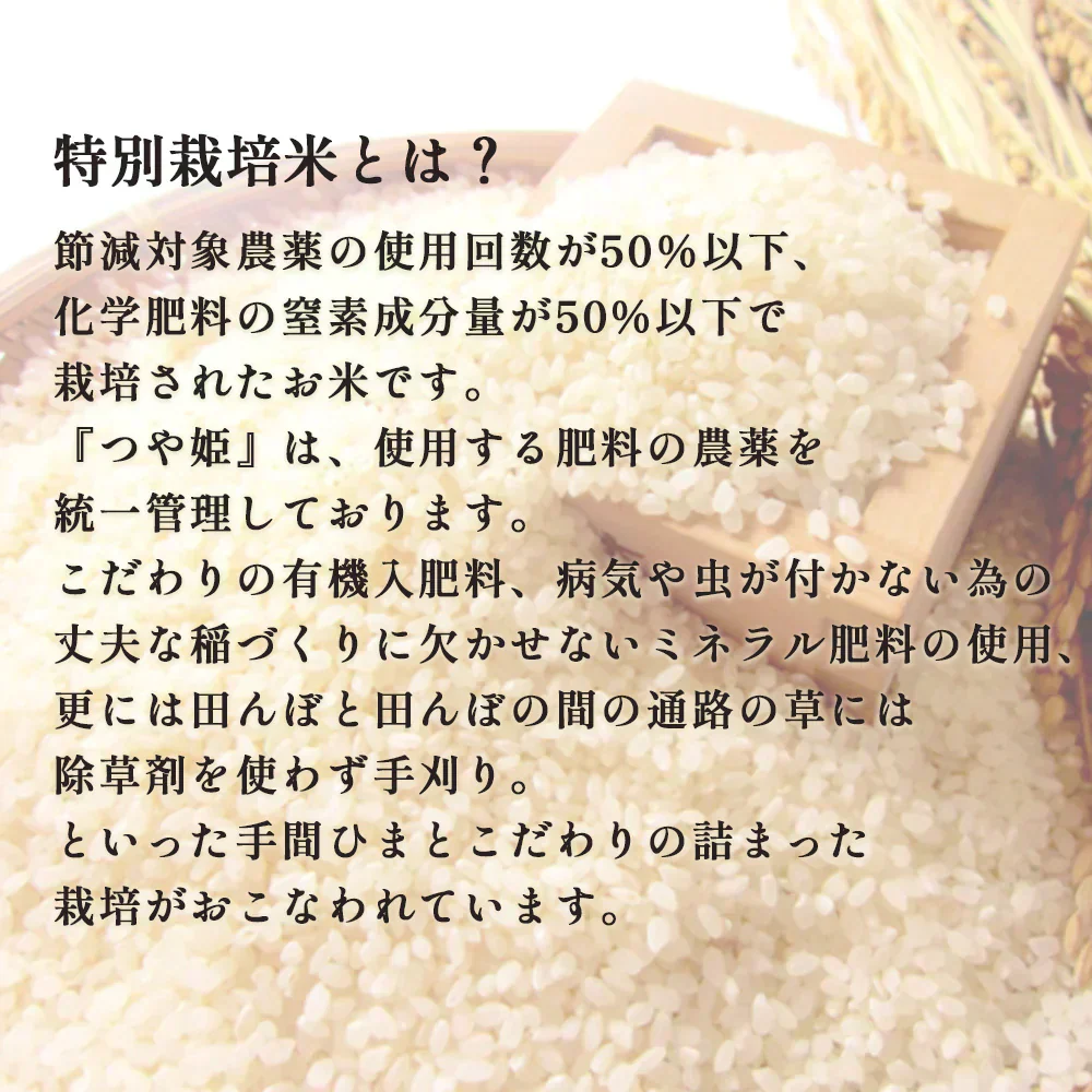 米 10kg つや姫  精米 山形県産 送料無料 ギフト 令和6年産 単一原料米 ブランド米 こめ コメ 白米 産地直送 kkb-003