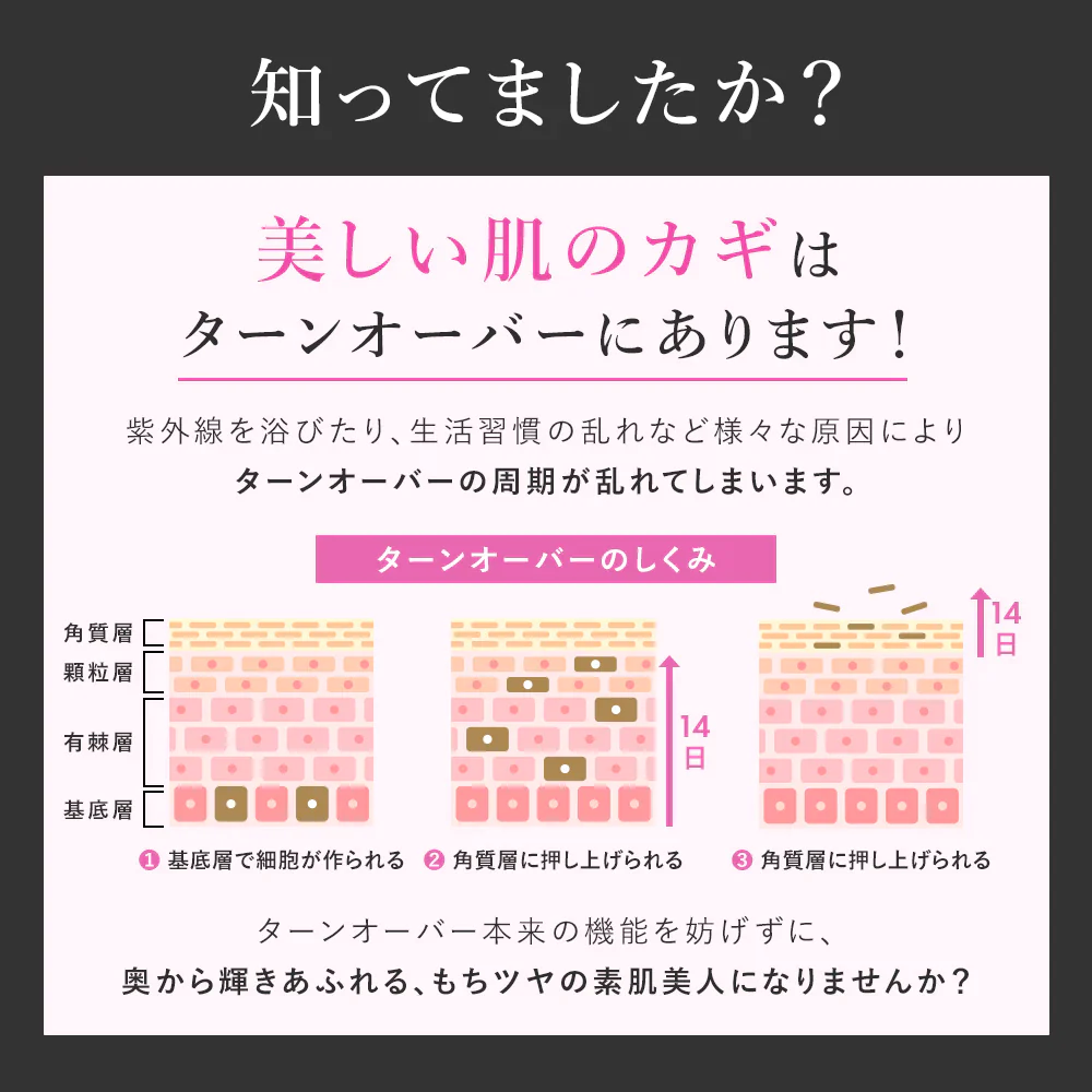 【PHOEBE BEAUTY UP  リッチモイスチャークリーム 60g】保湿クリーム フェイスクリーム 日本製