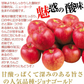 ジョナゴールド 青森産 11玉 化粧箱入り（発送予定:9月上旬より）