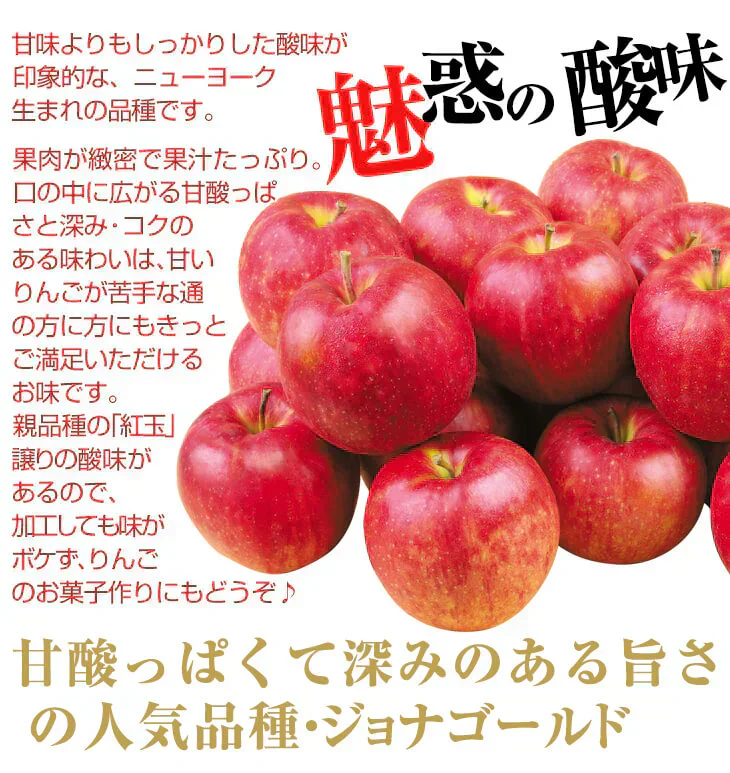 ジョナゴールド 青森産 11玉 化粧箱入り（発送予定:9月上旬より）